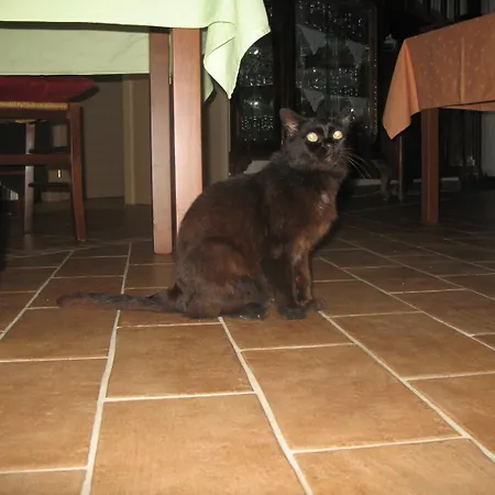 Il Balcone Sul Monferrato *