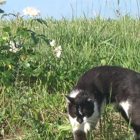 Il Balcone Sul Monferrato Séjour à la ferme Tonco