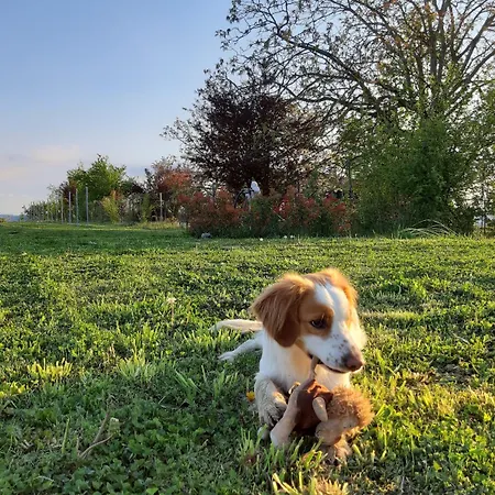 Séjour à la ferme Il Balcone Sul Monferrato Tonco